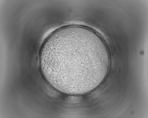 X0000091531271200709141428