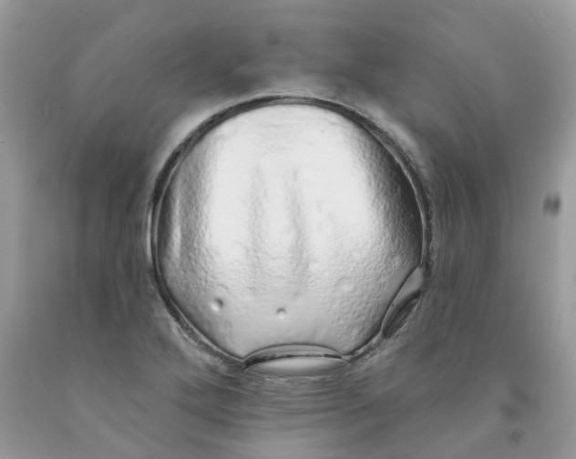 X0000091531272200709141428