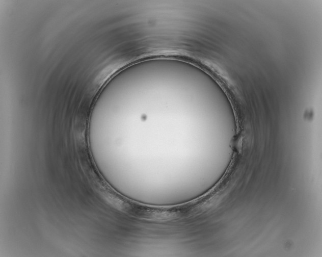 X0000091531273200709141428