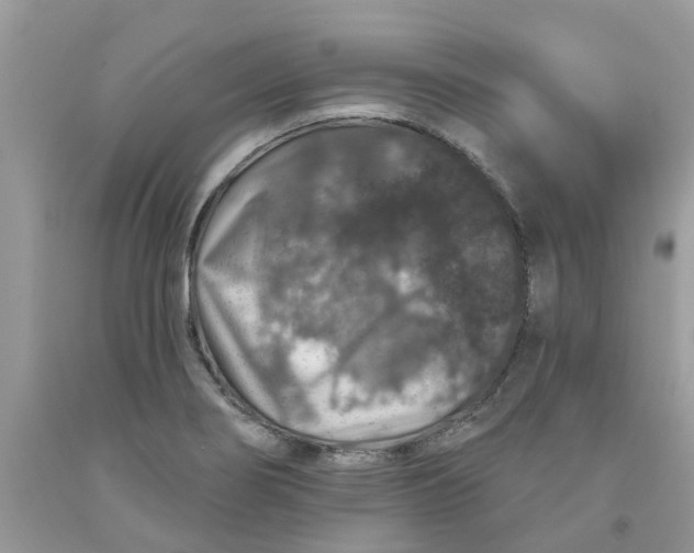 X0000091531274200709141428