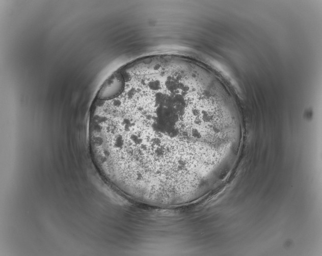 X0000091531275200709141428