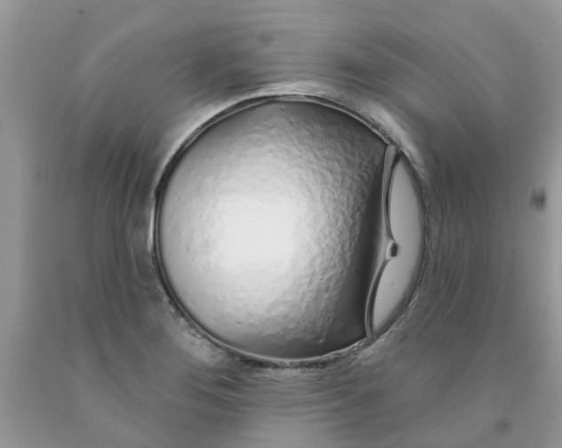X0000091531276200709141428