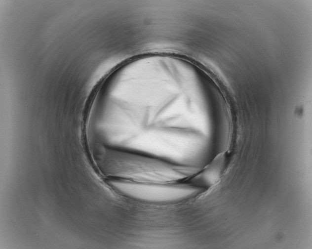 X0000091531277200709141428