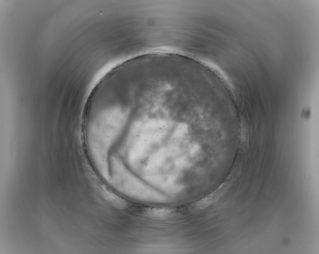 X0000091531278200709141428