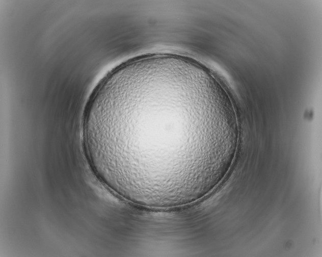 X0000091531280200709141428