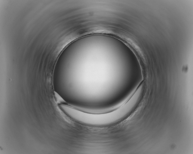 X0000091531281200709141428