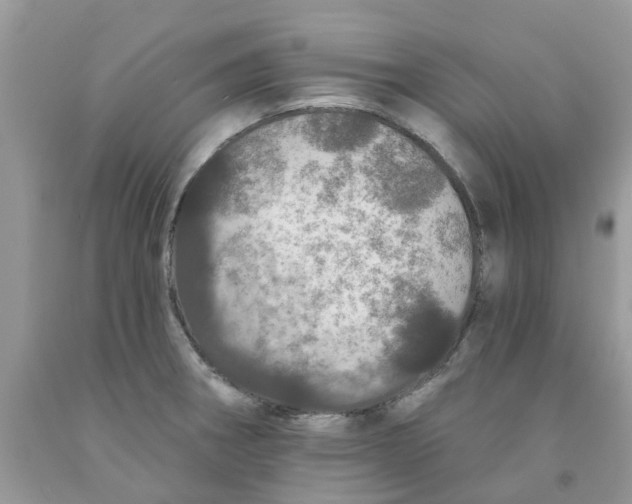 X0000091531282200709141428