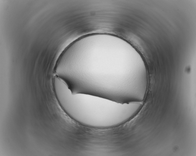 X0000091531284200709141428