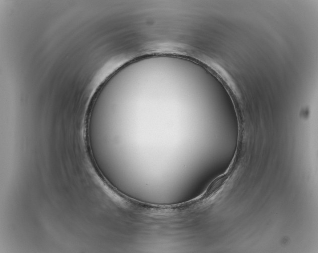 X0000091531285200709141428