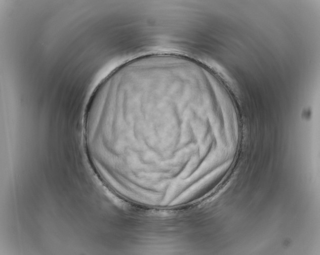 X0000091531286200709141428
