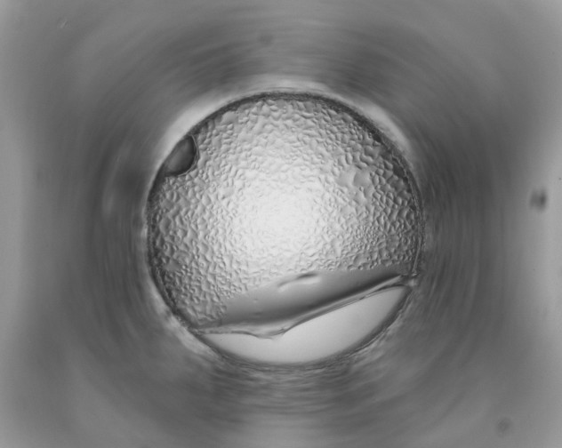 X0000091531287200709141428