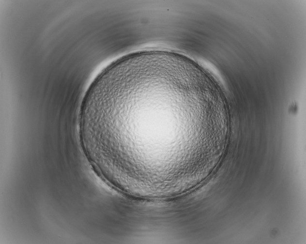 X0000091531288200709141428