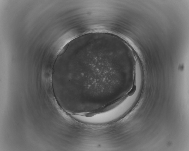 X0000091531289200709141428