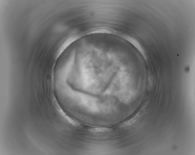 X0000091531290200709141428