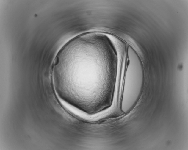 X0000091531292200709141428