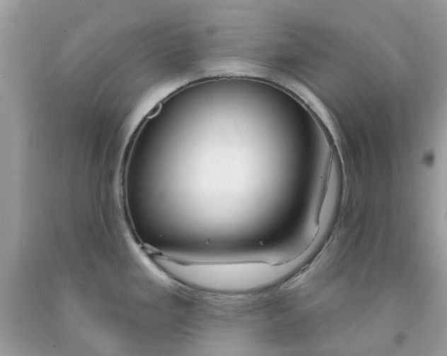 X0000091531293200709141428