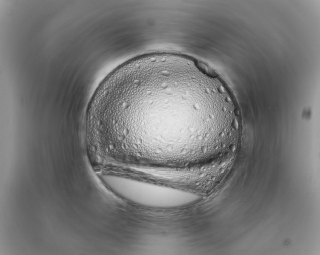 X0000091531295200709141428