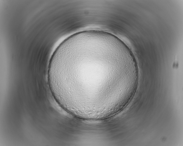 X0000091531296200709141428