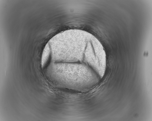 X0000091531297200709141427