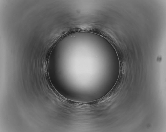 X0000091531298200709141427