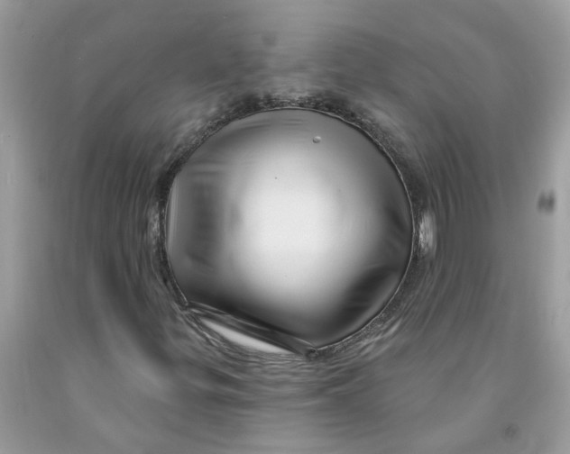 X0000091531299200709141427
