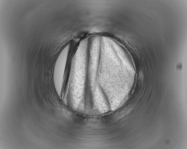 X0000091531300200709141427
