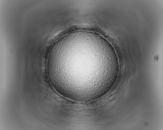 X0000091531301200709141427