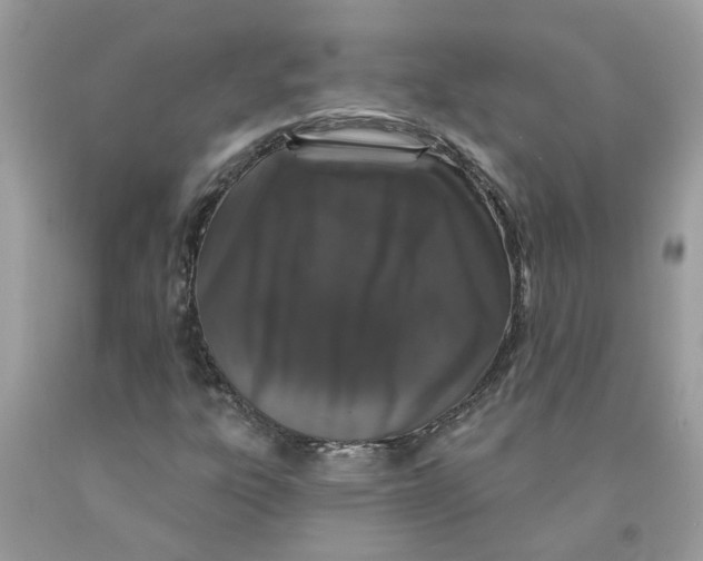 X0000091531303200709141427