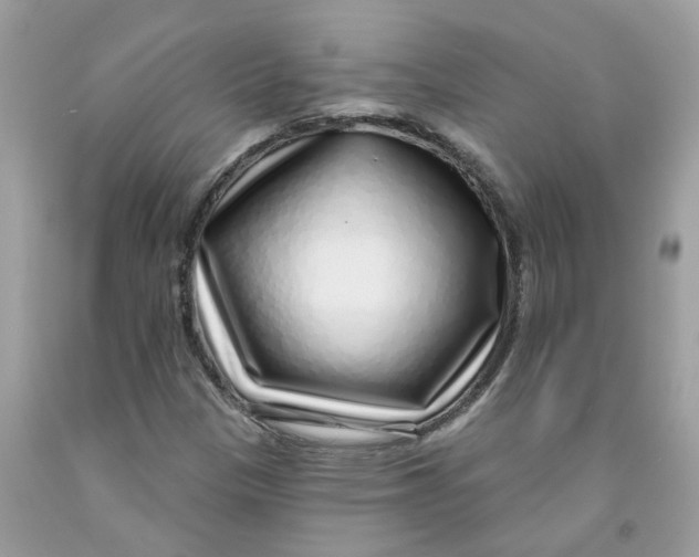X0000091531305200709141427