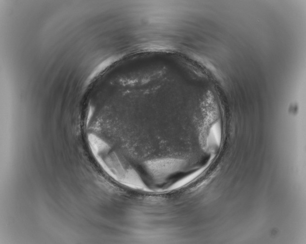 X0000091531306200709141427