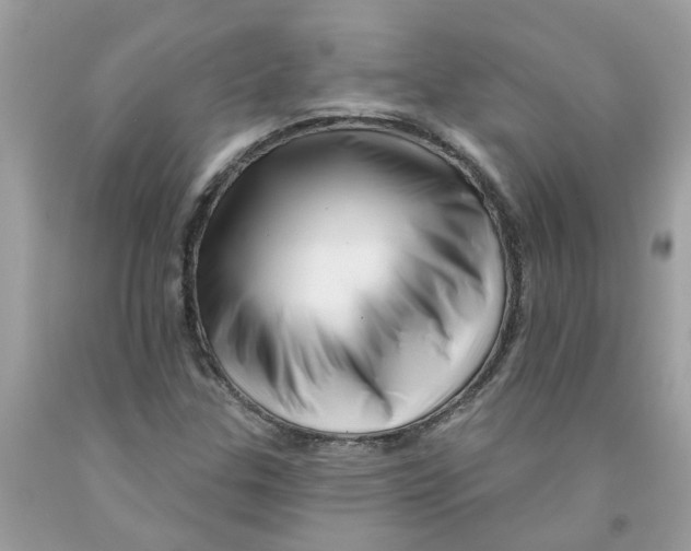 X0000091531307200709141427