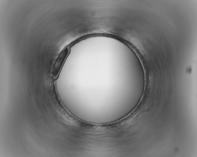 X0000091531308200709141427