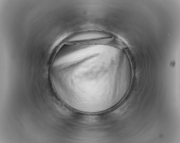 X0000091531309200709141427