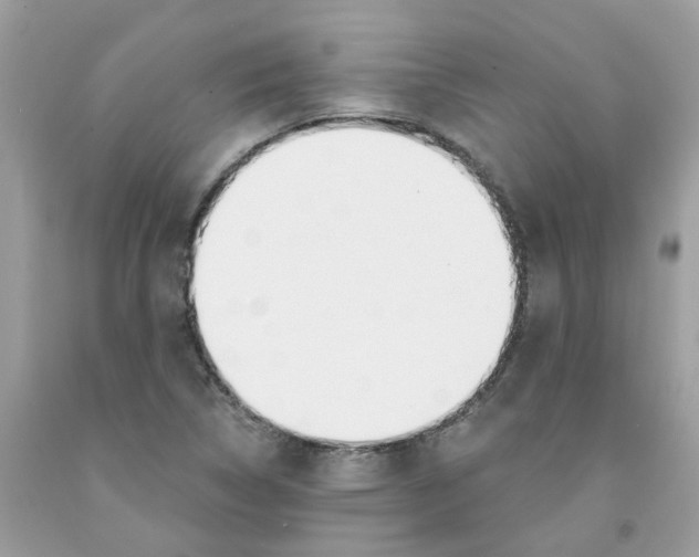 X0000091531314200709141427