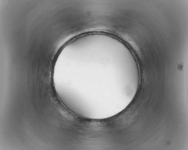 X0000091531316200709141427