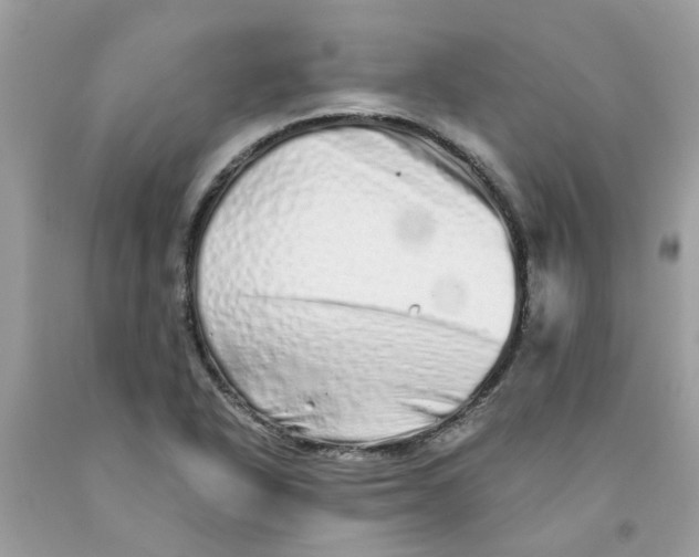 X0000091531318200709141427