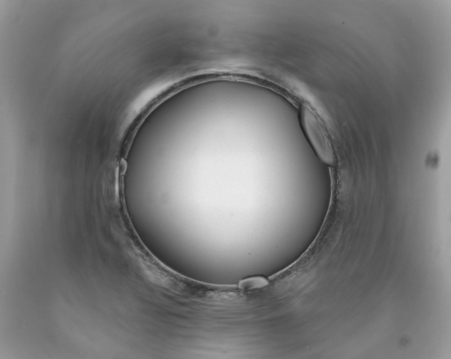 X0000091531320200709141427