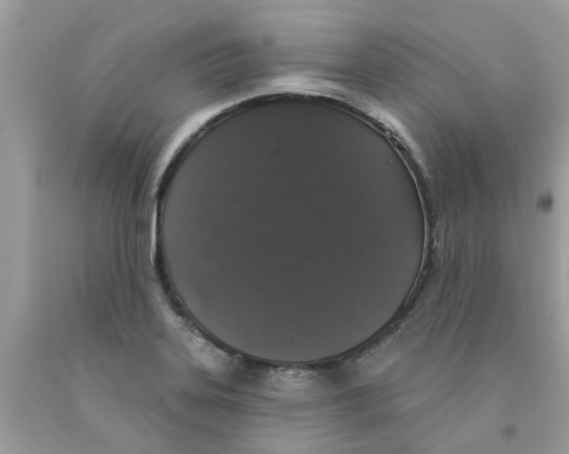 X0000091531323200709141427