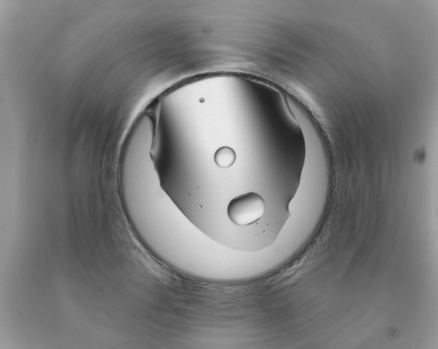 X0000091531324200709141427