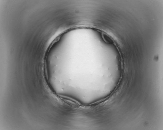 X0000091531325200709141427