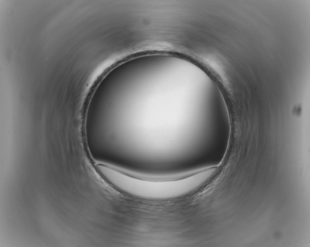 X0000091531326200709141427