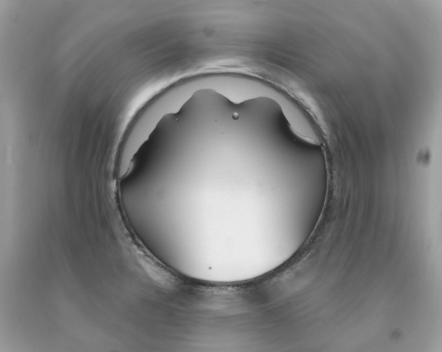X0000091531328200709141427
