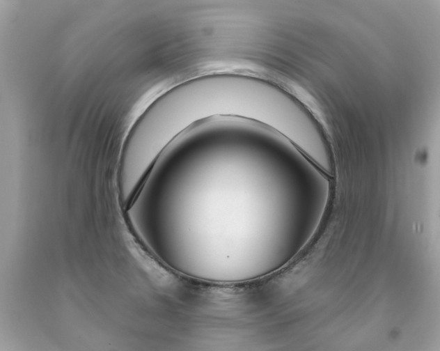 X0000091531330200709141427