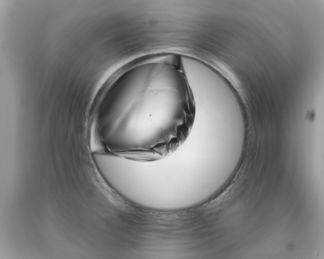 X0000091531332200709141427
