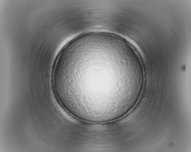 X0000091531333200709141427