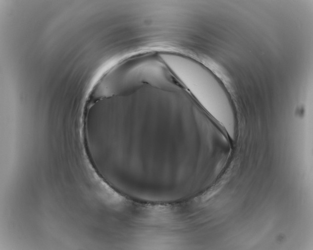 X0000091531334200709141427