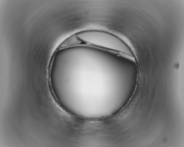 X0000091531335200709141427