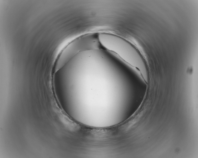 X0000091531336200709141427