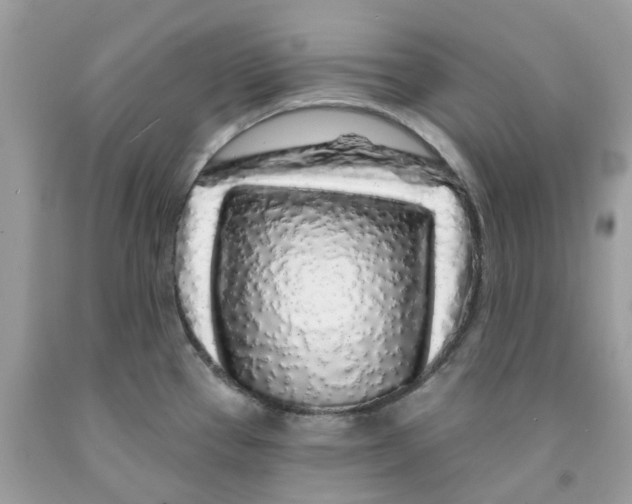 X0000091531337200709141427
