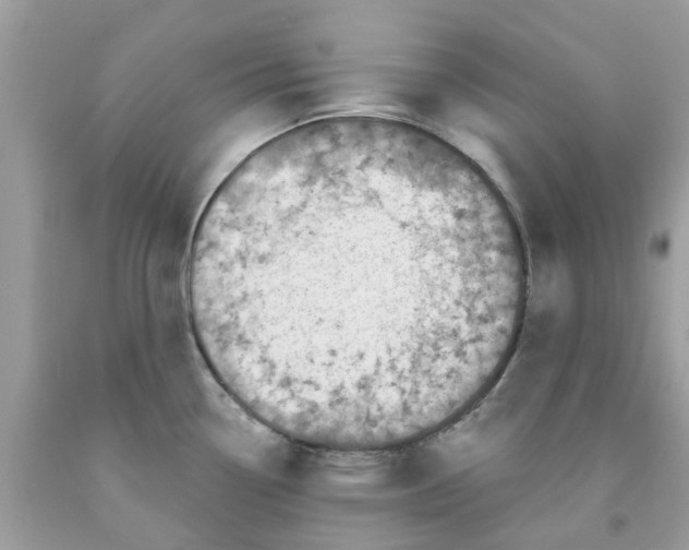 X0000091531338200709141427